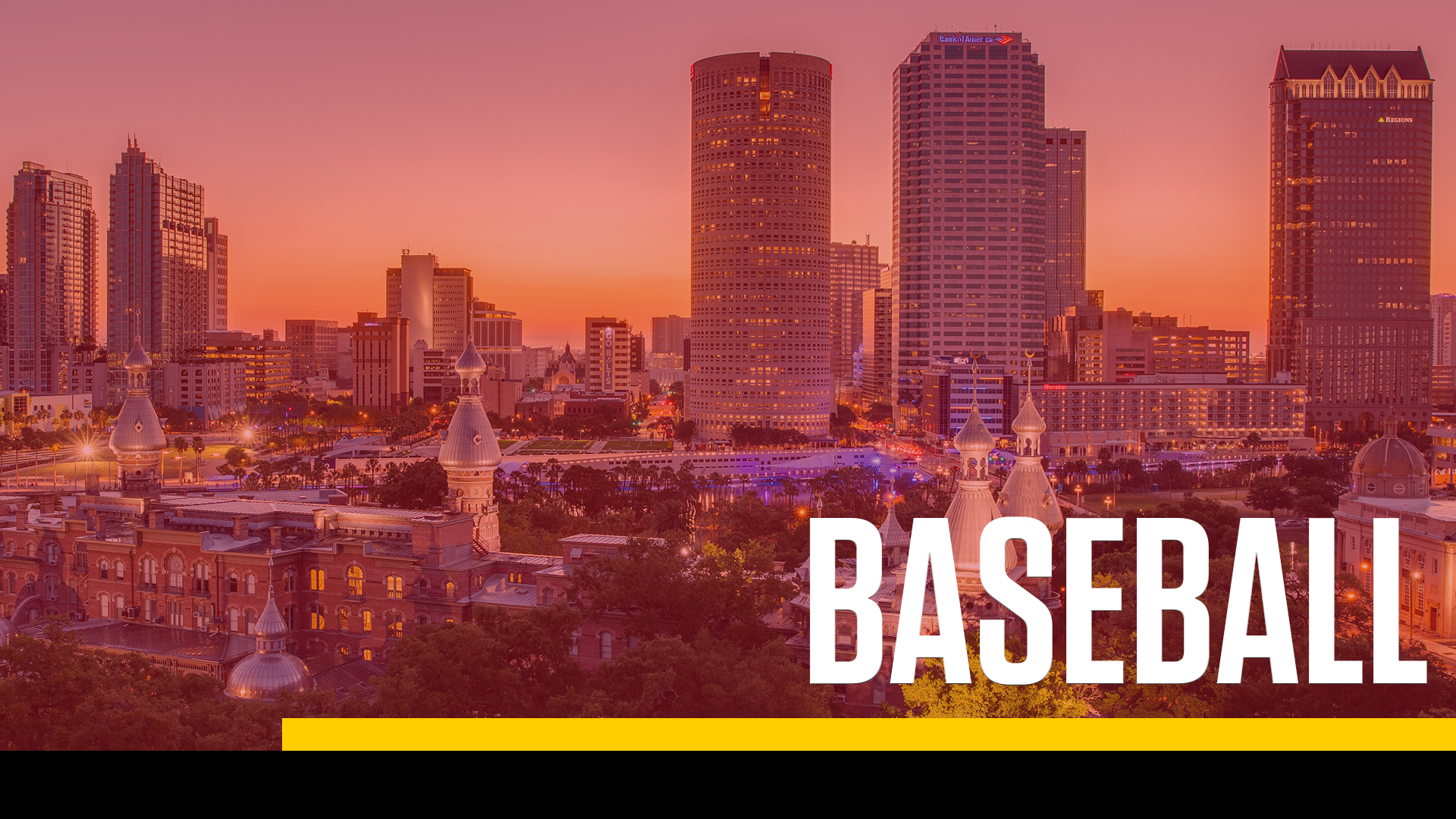 Baseball Recruiting Form