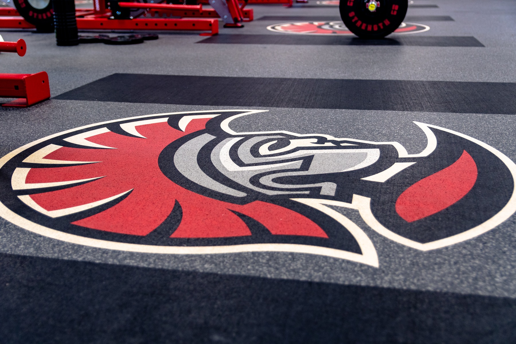 University of Tampa Athletics Strength Room