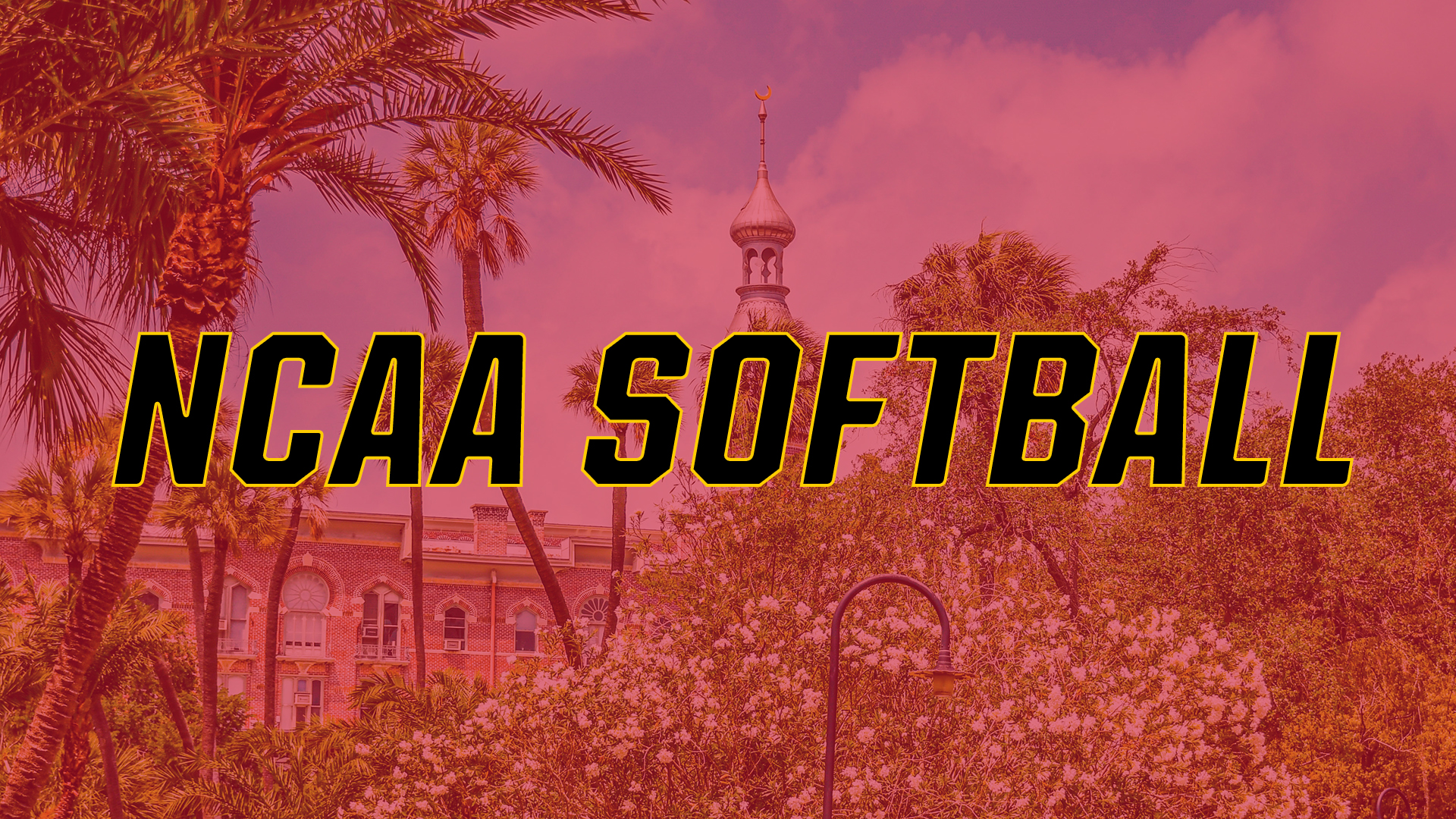 NCAA Softball