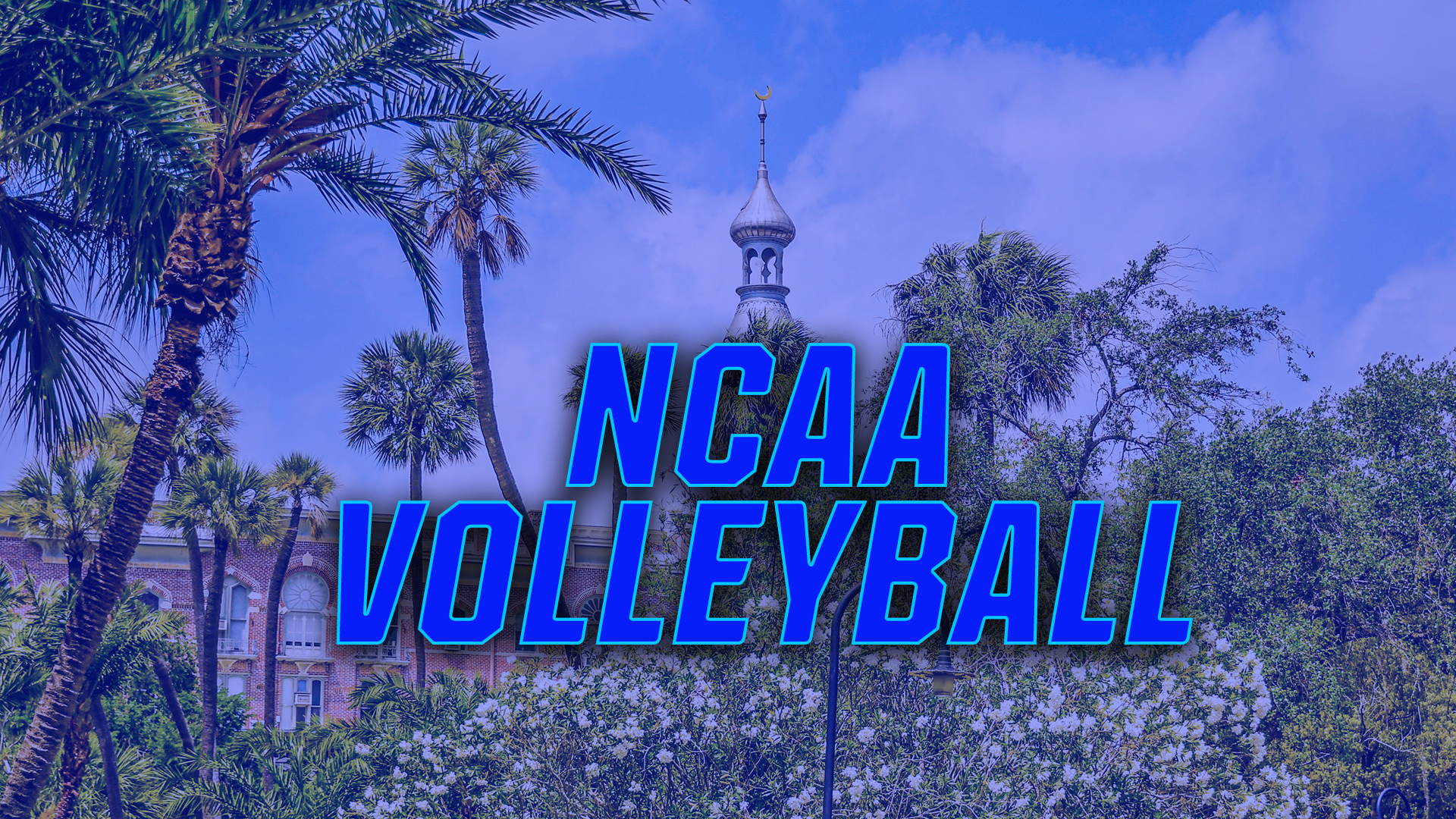 NCAA Volleyball